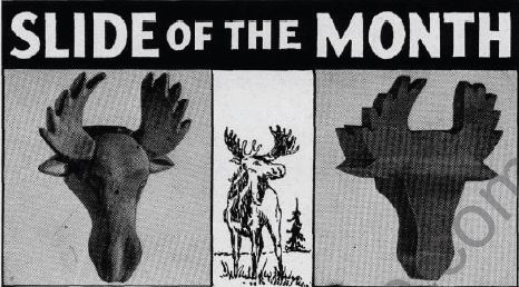 Boy's Life - 1951-02 - Slide of the Month - Moose Head Slide - Whittlin Jim