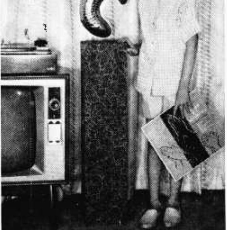 A Column Speaker for Your HI-FI - Radio-TV Experimenter April Man 1964