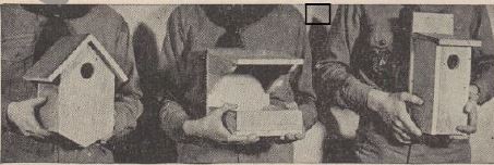 Boy's Life - 1947-04 - Lets Make Birdhouses - William Hillcourt