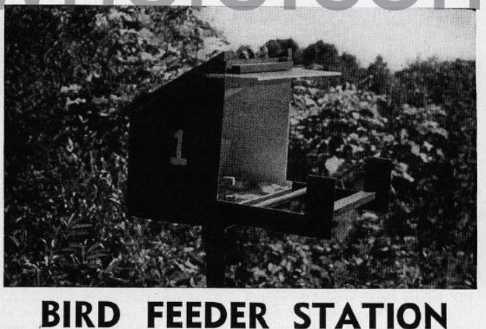 Boy's Life - 1948-11 - Bird Feeder Station - E B
