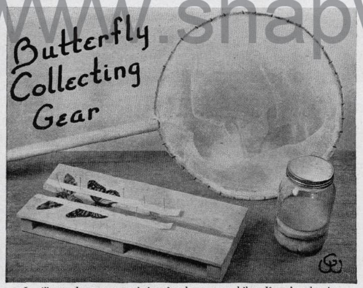 Boy's Life - 1949-04 - Butterfly Collecting Gear - Glenn Wagner