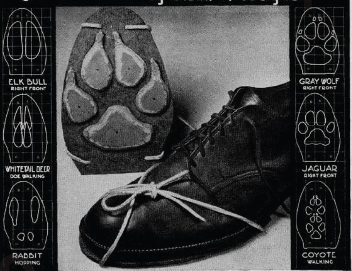 Boy's Life - 1949-04 - Stalking Shoes - Glenn Wagner