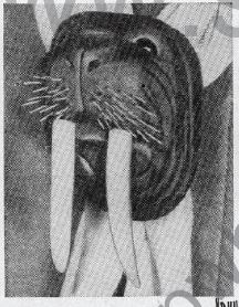 Boy's Life - 1952-12 - Neckerchief Slide of the Month - Walrus - Whittlin Jim
