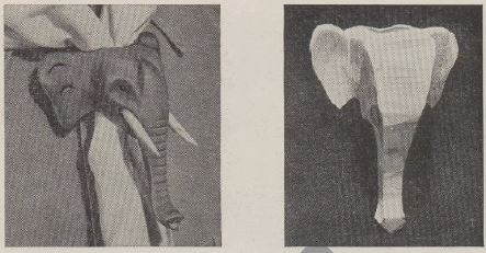 Boy's Life - 1953-05 - Neckerchief Slide of the Month - Elephant - Whittlin Jim