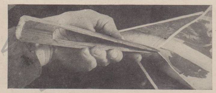 Boy's Life - 1950-05 - Tongs for Your Dark Room - B J
