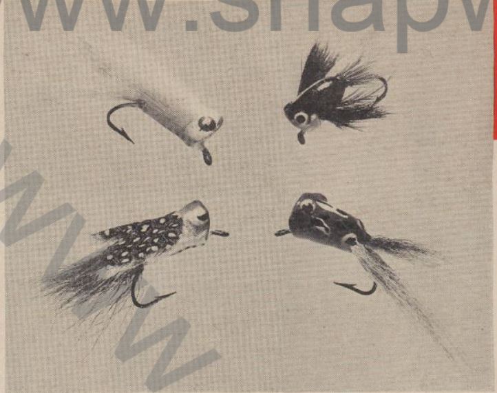 Boy's Life - 1950-07 - Popper Bugs and BuckTails - Wagner-Reid