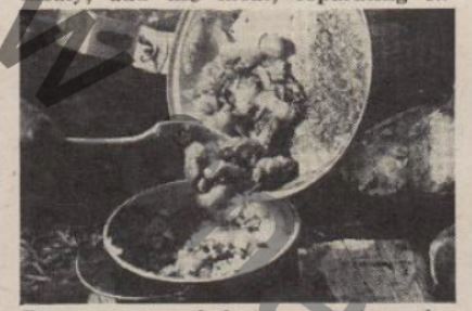 Boy's Life - 1950-12 - What's Cooking - Hash