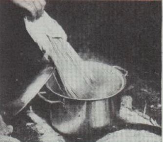 Boy's Life - 1951-05 - What's Cooking - Spagetti with Sauce