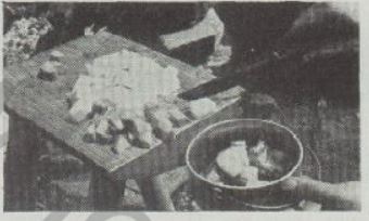 Boy's Life - 1951-06 - What's Cooking - Jiffy Stew