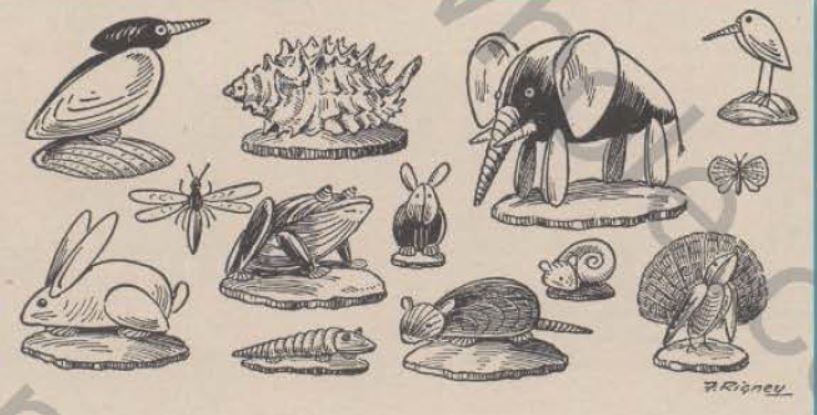 Boy's Life - 1951-01 - Sea Shell Craft