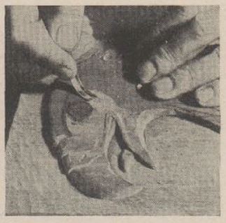 Boy's Life - 1952-05 - Crooked Knife Carving - Whittling Jim