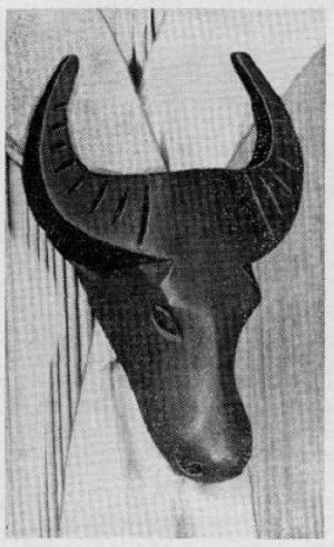 Boy's Life - 1958-11 - Neckerchief Slide of the Month - Water Buffalo - Whittlin Jim