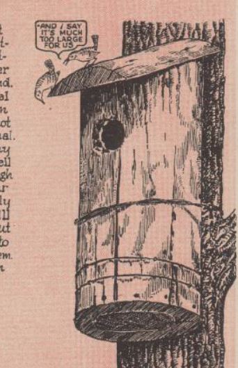 Boy's Life - 1954-03 - Rustic Bird House - Whittlin Jim