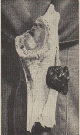 Boy's Life - 1960-06 - Neckerchief Slide of the Month - Imbedded Arrowhead - Whittlin Jim
