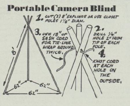 Boy's Life - 1952-03 - Portable Camera Blind - Lewis Walkder