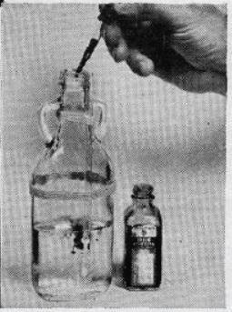 Boy's Life - 1952-03 - Weather Station in a Bottle - John Taylor