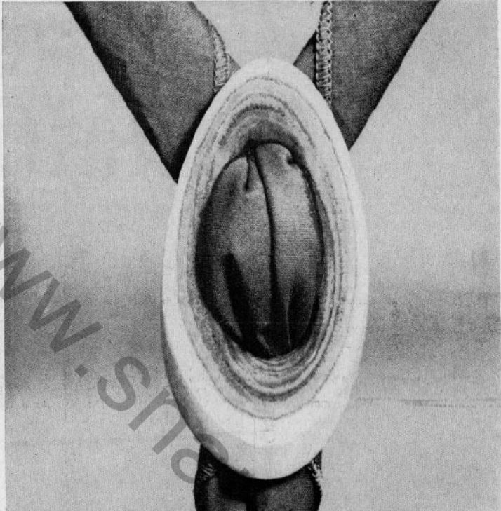 Boy's Life - 1968-04 - Neckerchief Slide of the Month - Sawed Sumac - Whittlin Jim